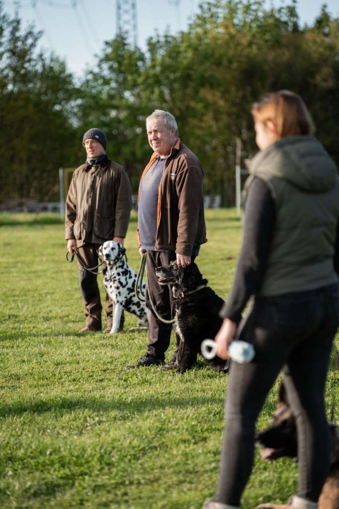 Effektives Gruppentraining: Hundegruppe mit ihren Herrchen bei der Hundeakademie MV Hundegruppe